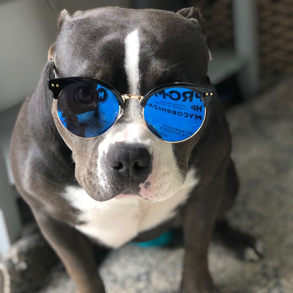 Meet your Posher, Alicia